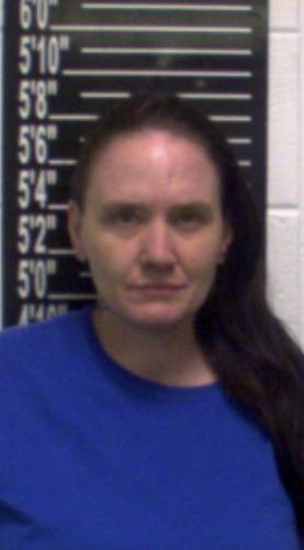 Deanna Fisher mugshot