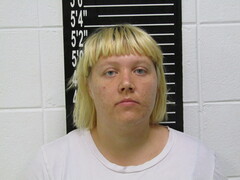 Mugshot of Dyer, Amy Rochelle