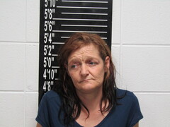 Mugshot of Mcnealy, Delores Jean Kay 