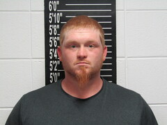 Mugshot of Mckeever, Nicholas Wade