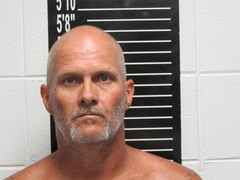 Mugshot of Wallis, Donovan Claude