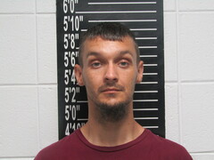 Mugshot of Hefner, Michael Eric