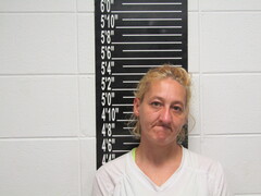 Mugshot of Rice, Krystal Lynn