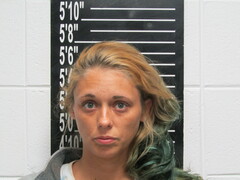 Mugshot of Dorson, Synthia Leslilin