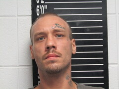 Mugshot of Hinds, Steven Allen