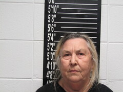 Mugshot of Inman, Barbara Diane
