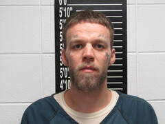 Mugshot of Butlerthiemer, James Williams
