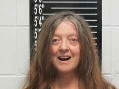 Mugshot of Davis, Sandra Kay