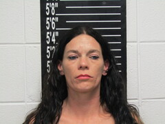 Mugshot of Shepard, Donna Lynn