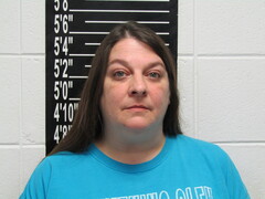Mugshot of Sidenstricker, Nicole Suzanne
