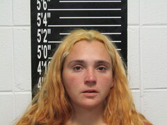 Mugshot of Lee, Alicia Chenel