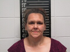 Mugshot of Trueblood, Lori Ann
