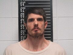 Mugshot of Davis, Brian Allen