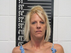 Mugshot of Stark, Patricia Ann