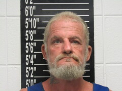 Mugshot of Mcghee, Marc Todd