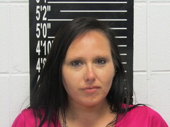 Mugshot of Goodwin, Erica Renee