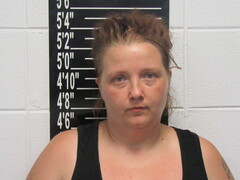 Mugshot of Mauller, Stephanie Lanette