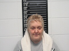 Mugshot of Reavis, Jami Suzanne