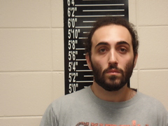 Mugshot of Parton, Dalton Lee