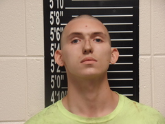 Mugshot of Turner, David Lee