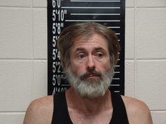 Mugshot of Mease, Wesley Frank