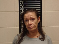 Mugshot of Jackson, Shelley Raquel