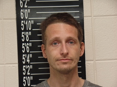 Mugshot of Freeman, Levi Everett