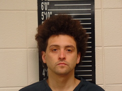 Mugshot of Martin, Robert Allen