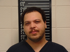Mugshot of Van Arsdale, Leevi Madison