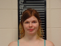 Mugshot of Harrington, Elayna Jo Allen