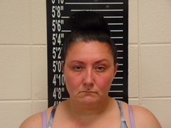 Mugshot of Hardesty, Tosha Dawn 