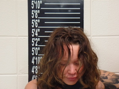 Mugshot of Wickersham, Andrea Dawn
