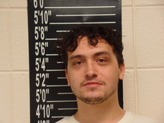 Mugshot of Dennis, Anthony Drake