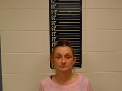 Mugshot of Miller, Sara Ellen 
