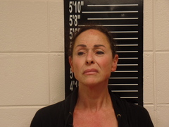 Mugshot of Rabin, Melissa Ann