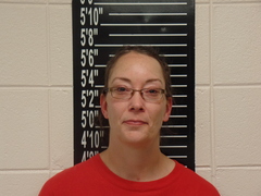 Mugshot of Bradley, Erin Leigh
