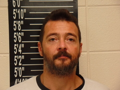 Toby Lane Holland