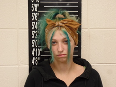 Mugshot of Beck, Summer Angel