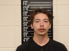 Mugshot of Main, James Luis