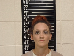Mugshot of Meredith, Krystal Leeann