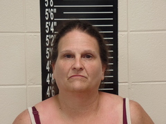 Mugshot of Bishop, Kelly Rayleen