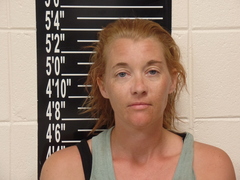 Mugshot of Farrell, Heather Noel