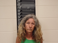Mugshot of Higgins, Jamie Michelle