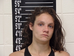 Mugshot of Isaac, Whitney Michelle