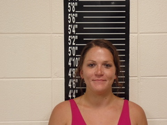 Mugshot of White, Amber Lynn