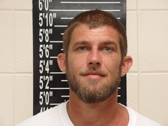 Mugshot of Wolfe, Packyleon Timber