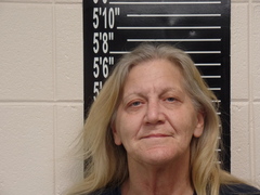 Mugshot of Gomez, Lori Ann