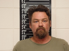 Mugshot of Borgman, Jack Lee