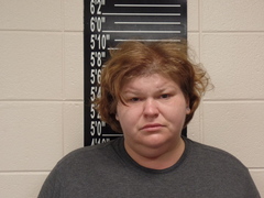 Mugshot of Wells, Jennifer Lynn
