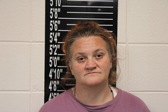 Mugshot of Farrell, Angela May 